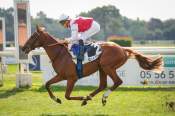 La photo de Mondo arrivée pmu Prix Haras des faunes à La teste de Buch