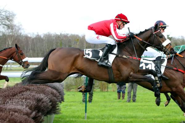 La photo de LE CHAMP DU CYGNE