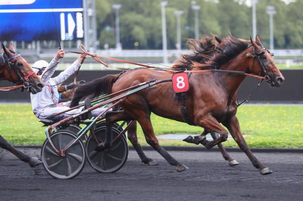 La photo de Jason Ginyu Arrivée PMU Prix de Montier-en-Der à Vincennes