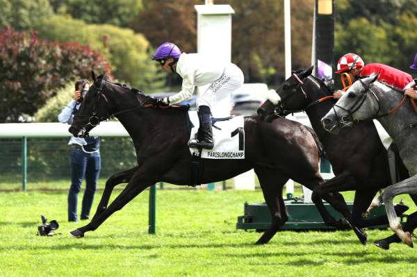 Photo de HOUQUETOT cheval de PLAT