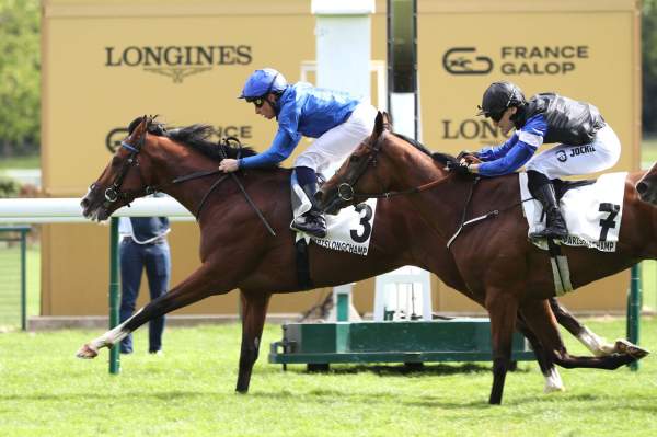 La photo de Ombudsman arrivée pmu Prix du Prince d'Orange (Gr.3) à ParisLongchamp