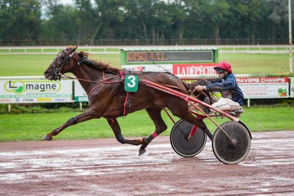 Photo de KILOVE DU GOUTIER cheval de TROT ATTELE