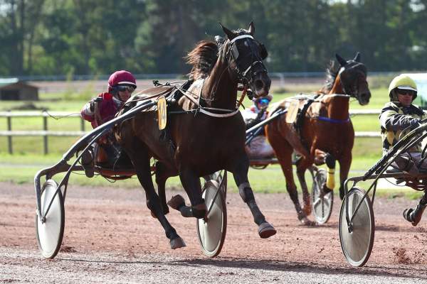 La photo de JODANNE DIESCHOOT