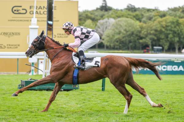 La photo de Newlook arrivée Quinté+ Prix de Longchamp à Longchamp