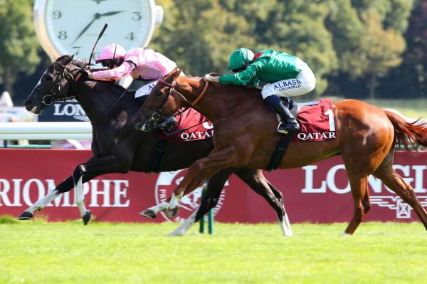 La photo de Iresine Arrivée Prix Foy 2024 à ParisLongchamp