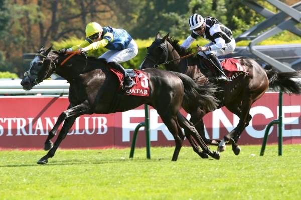 La photo de Noir Arrivée Quinté+ PMU Qatar Prix Carrus 2024 à ParisLongchamp