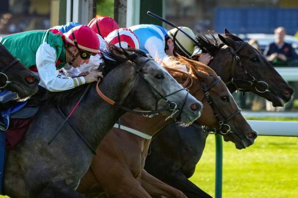 La photo de Pradaro Arrivée PMU Qatar Prix du Petit Couvert à ParisLongchamp