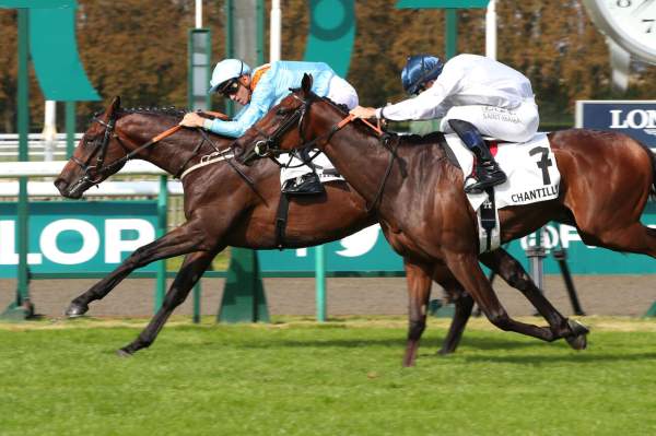 La photo de Lazy Griff Arrivée PMU Prix de Condé 2024 à Chantilly