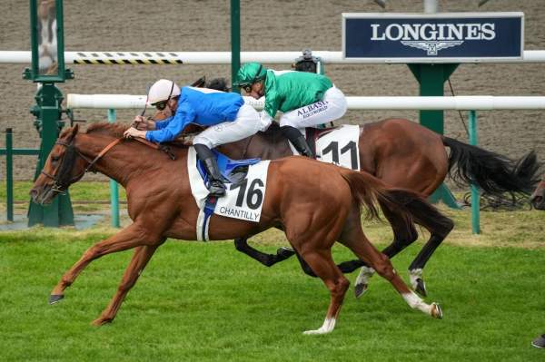 La photo de Starzo Fal arrivée Quinté+ pmu Prix de la Galerie des Batailles à Chantilly