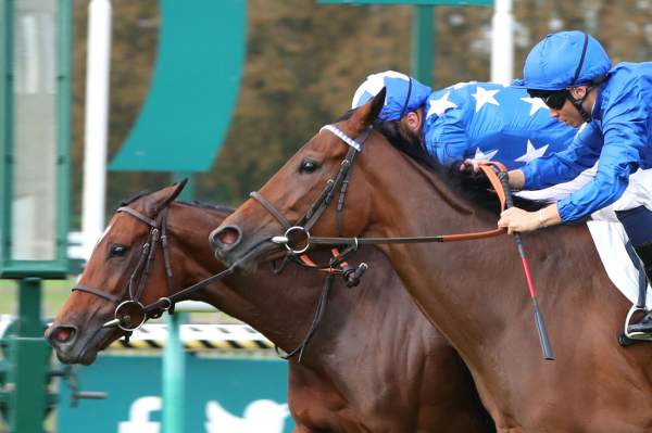 La photo de Andromede arrivée pmu Prix Bertrand de Tarragon (Gr.3) à Chantilly