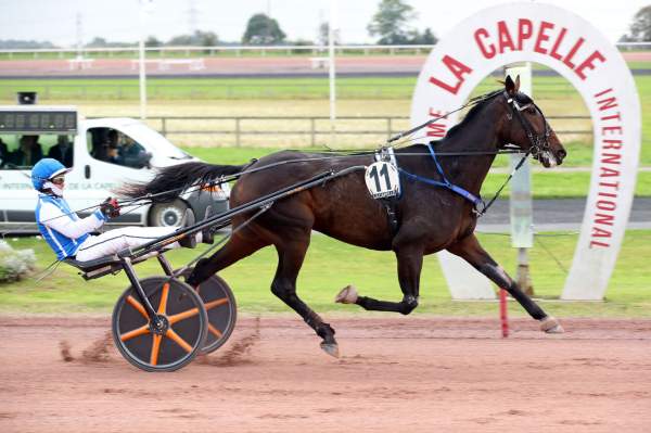 La photo de Icone Madrik Arrivée Quinté+ Pmu Prix 80 Ans de l'Aisne Nouvelle à La Capelle