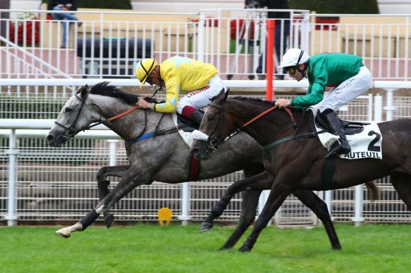 La photo de Isis D'inor Arrivée Quinté+ Pmu Prix Calabrais, mardi, à Auteuil