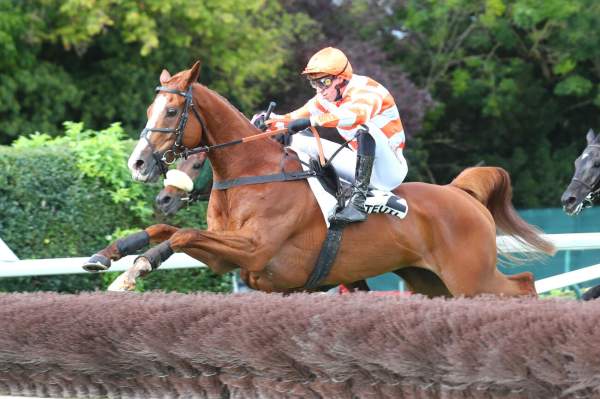 La photo de Marvel De Cerisy arrivée Quinté+ pmu Prix Grandlieu à Auteuil