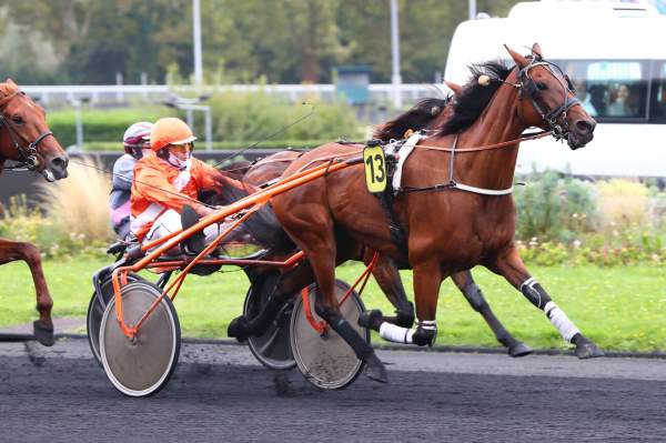 La photo de Ister Man Arrivée Quinté+ PMU Grand Prix du Portugal à Vincennes