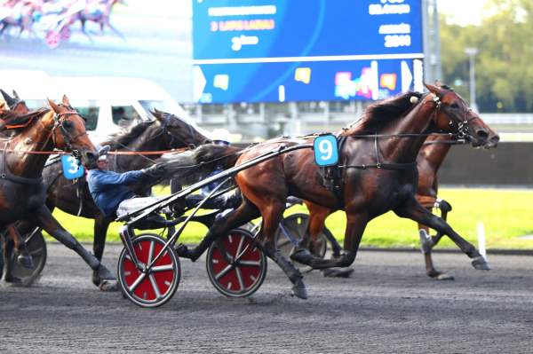 La photo de Little Brown Arrivée PMU Prix de Troyes à Vincennes