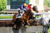 La photo de Elektrix arrivée pmu Prix Nivolet à Auteuil