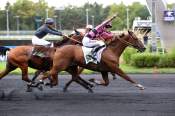 La photo de Fulton arrivée pmu Prix Camille Lepecq (Gr.II) à Paris Vincennes