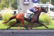 La photo de Jet Meslois arrivée pmu Prix André Rouer à Paris Vincennes