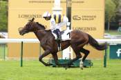 La photo de Sevenna's Knight arrivée pmu Prix Gladiateur (Gr.3) à PraisLongchamp