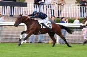 La photo de Celeb arrivée pmu Prix Saint-Etienne de Corcoue à Auteuil