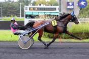 La photo de Java D'anama Arrivée Quinté+ PMU Prix de Montélimar à Vincennes