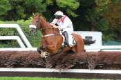 La photo de Bellodam arrivée pmu Prix de Gien à Auteuil