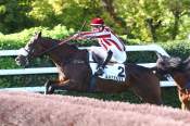 La photo de Un Chic Cheval arrivée pmu Prix Royal Junior à Auteuil