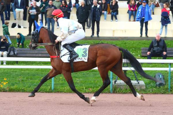 La photo de LOTUS PAULOIS