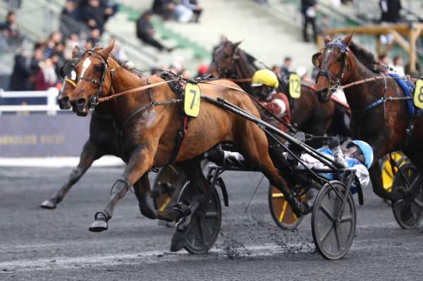 La photo de Jack Tonic Arrivée Quinté+ PMU Prix de Lille à Vincennes