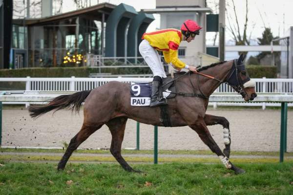 La photo de Jingle Denuo arrivée Quinté+ pmu Prix Auguste de Castelbajac ) Pau