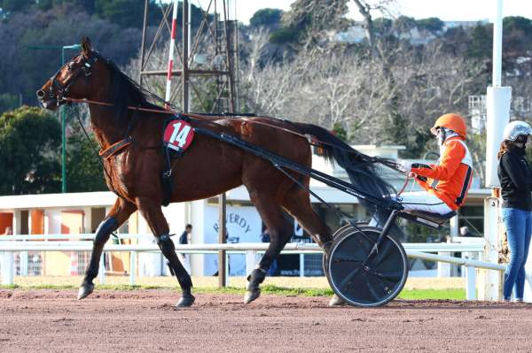 La photo de EDY DU POMMEREUX