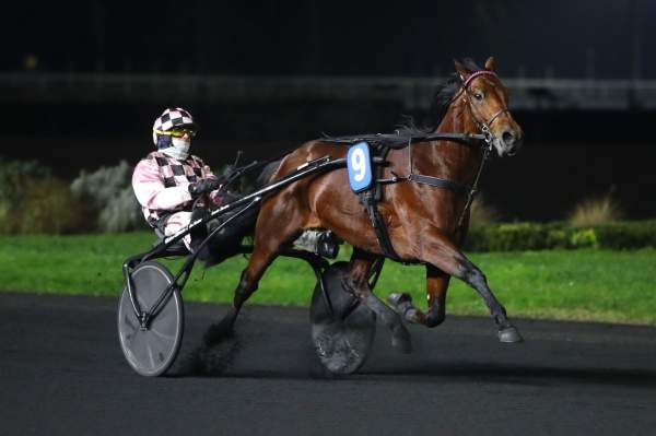 La photo de Lissandro Arrivée PMU Pick5 Prix Bellino II à Vincennes