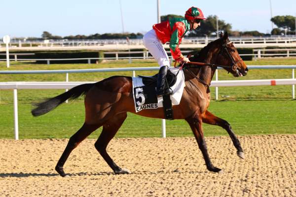 La photo de GRECIAN COMET