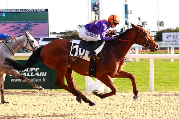 La photo de Alpage Arrivée Quinté+ Pmu Prix de Cannes à Cagnes-sur-Mer