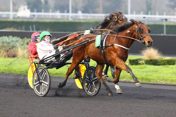 La photo de Inato Pierji Arrivée PMU Prix de Brest à Vincennes