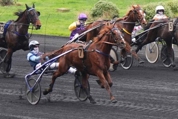 La photo de Ibis Petteviniere Arrivée Quinté+ Pmu Prix de Wolvega à Vincennes