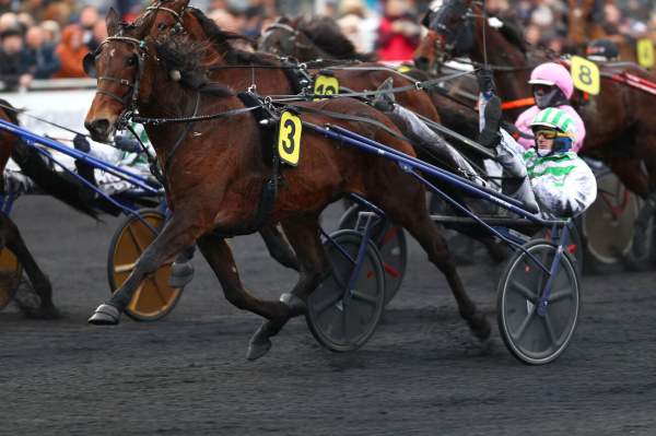 La photo de Kokote Arrivée Quinté+ PMU Prix Bold Eagle à Vincennes