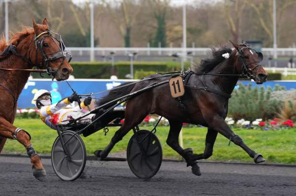 La photo de Colbert Wf Arrivée Quinté+ Pmu Prix de Châteauroux à Vincennes