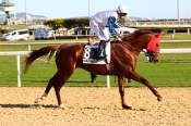 La photo de Gant Prix du Lagnuedoc à Cagnes-sur-Mer