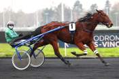 La photo de Playboy De Reve arrivée pmu Prix d'Orléans à Vincennes