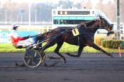 La photo de Dafne Di Poggio arrivée pmu Prix de Pontarlier à Vincennes