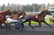 La photo de Jimmy Ferro Br arrivée pmu Prix André Meunier à Vincennes