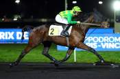 La photo de Lilius De Guez arrivée pmu Prix de Briey à Vincennes