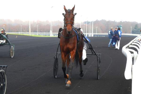 La photo de SIDNEY CELEBER