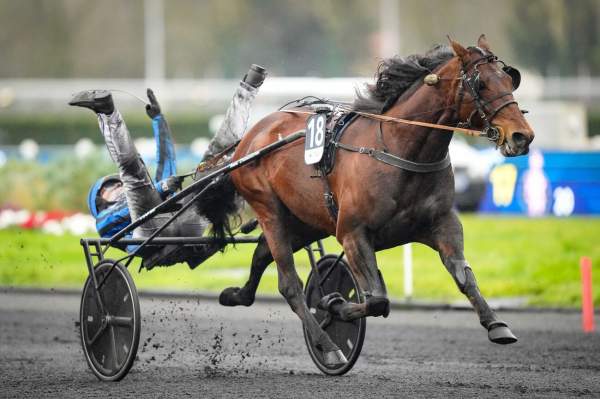 La photo de Idao De Tillard Prix d'Amérique 2025 Hippodrome de Vincennes