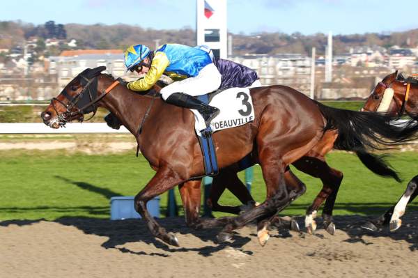 La photo de Zelman Arrivée Quinté+ Pmu Prix du Tréport à Deauville