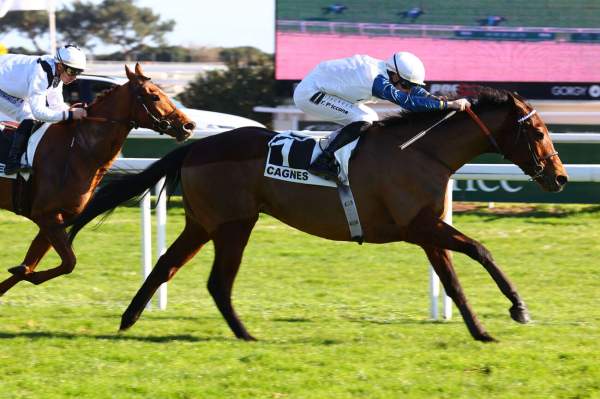 La photo de Good Gift Arrivée Quinté+ Pmu Prix du Var à Cagnes-sur-Mer