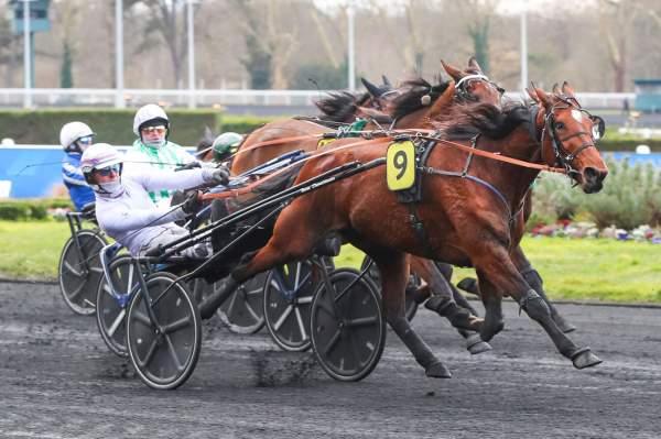 La photo de Just A Lady Arrivée Quinté+ PMU Prix de Verneuil à Vincennes