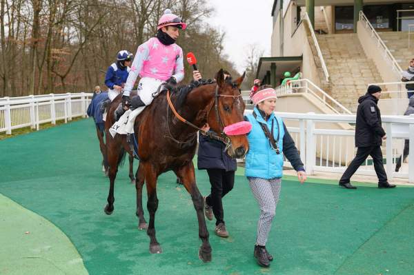 La photo de ELUSIVE GLORY