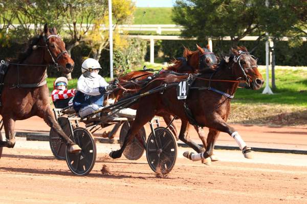 La photo de Gardner Shaw Arrivée Quinté+ Pmu Prix Jules Roucayrol à Cagnes-sur-Mer